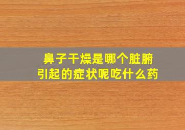 鼻子干燥是哪个脏腑引起的症状呢吃什么药