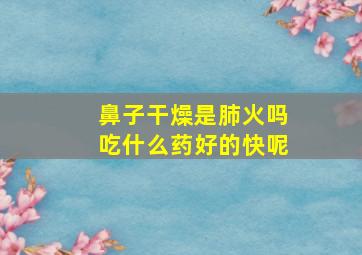 鼻子干燥是肺火吗吃什么药好的快呢