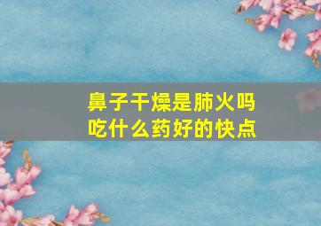 鼻子干燥是肺火吗吃什么药好的快点