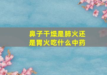 鼻子干燥是肺火还是胃火吃什么中药