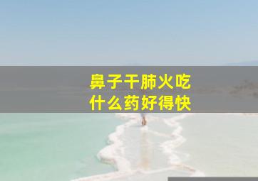 鼻子干肺火吃什么药好得快