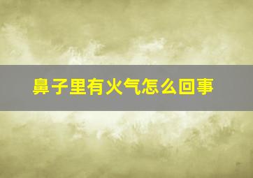 鼻子里有火气怎么回事