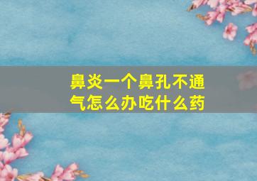 鼻炎一个鼻孔不通气怎么办吃什么药