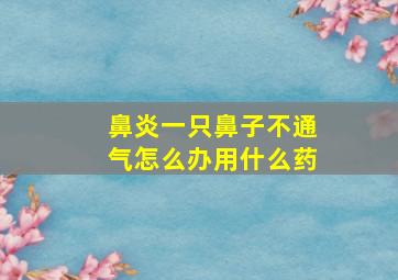 鼻炎一只鼻子不通气怎么办用什么药