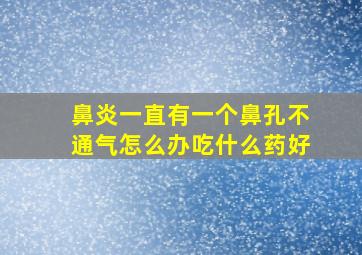 鼻炎一直有一个鼻孔不通气怎么办吃什么药好