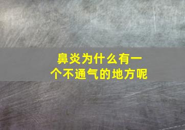 鼻炎为什么有一个不通气的地方呢