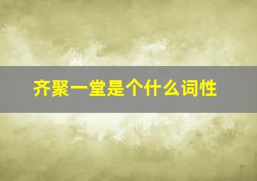 齐聚一堂是个什么词性