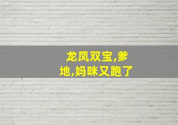 龙凤双宝,爹地,妈咪又跑了