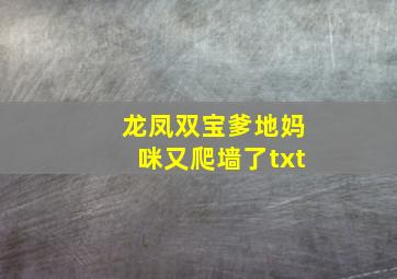 龙凤双宝爹地妈咪又爬墙了txt