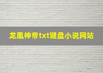 龙凰神帝txt键盘小说网站