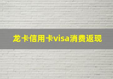 龙卡信用卡visa消费返现