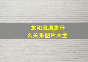 龙和凤凰是什么关系图片大全