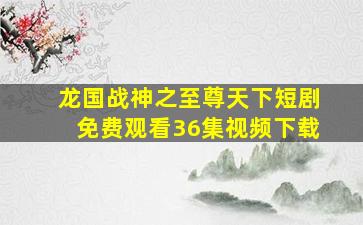 龙国战神之至尊天下短剧免费观看36集视频下载