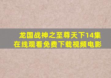 龙国战神之至尊天下14集在线观看免费下载视频电影