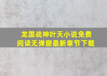 龙国战神叶天小说免费阅读无弹窗最新章节下载