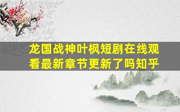 龙国战神叶枫短剧在线观看最新章节更新了吗知乎