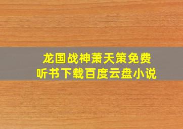 龙国战神萧天策免费听书下载百度云盘小说