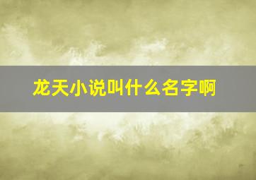 龙天小说叫什么名字啊