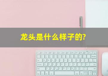 龙头是什么样子的?