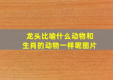 龙头比喻什么动物和生肖的动物一样呢图片