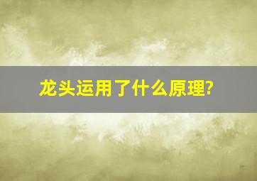 龙头运用了什么原理?