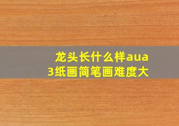 龙头长什么样aua 3纸画简笔画难度大