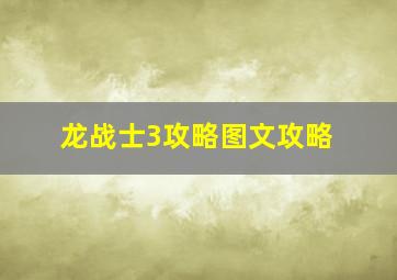 龙战士3攻略图文攻略