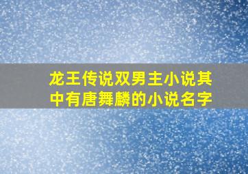 龙王传说双男主小说其中有唐舞麟的小说名字