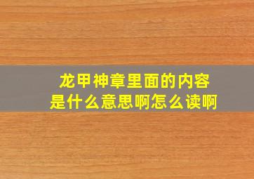 龙甲神章里面的内容是什么意思啊怎么读啊