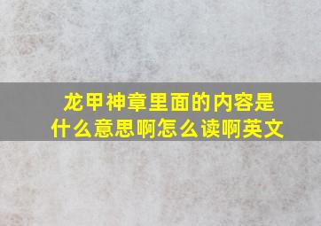 龙甲神章里面的内容是什么意思啊怎么读啊英文