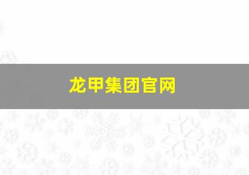 龙甲集团官网