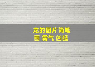 龙的图片简笔画 霸气 凶猛