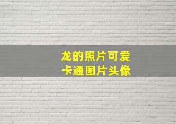 龙的照片可爱 卡通图片头像