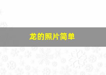 龙的照片简单