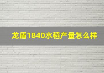 龙盾1840水稻产量怎么样