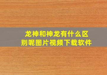 龙神和神龙有什么区别呢图片视频下载软件