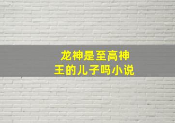 龙神是至高神王的儿子吗小说