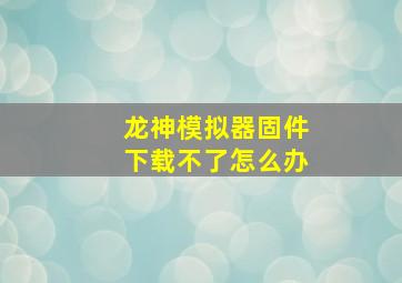 龙神模拟器固件下载不了怎么办