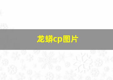 龙蟒cp图片