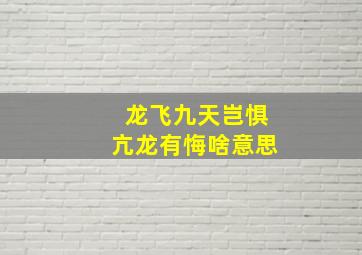 龙飞九天岂惧亢龙有悔啥意思