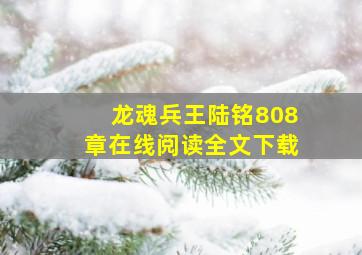 龙魂兵王陆铭808章在线阅读全文下载