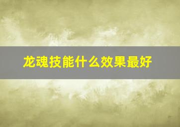 龙魂技能什么效果最好