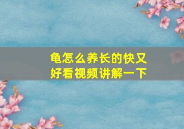 龟怎么养长的快又好看视频讲解一下