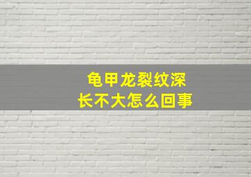 龟甲龙裂纹深长不大怎么回事