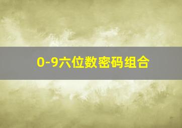 0-9六位数密码组合