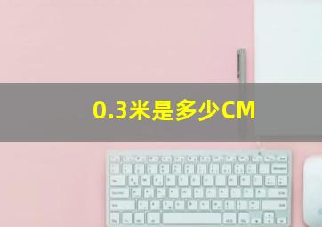 0.3米是多少CM