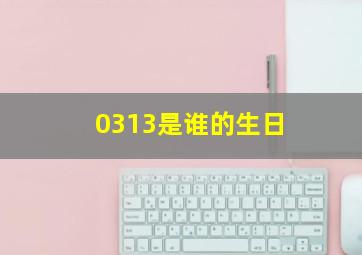 0313是谁的生日