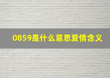 0859是什么意思爱情含义