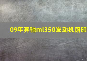 09年奔驰ml350发动机钢印