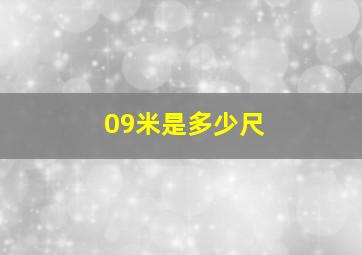 09米是多少尺